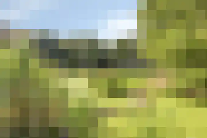 Mottoen 74 Uden thumbnail 23