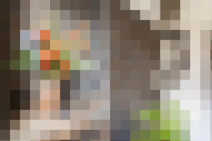 Mottoen 74 Uden thumbnail 23