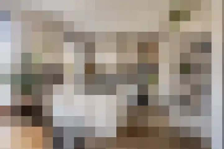 Mottoen 74 Uden thumbnail 4