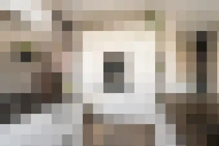 Mottoen 74 Uden thumbnail 5