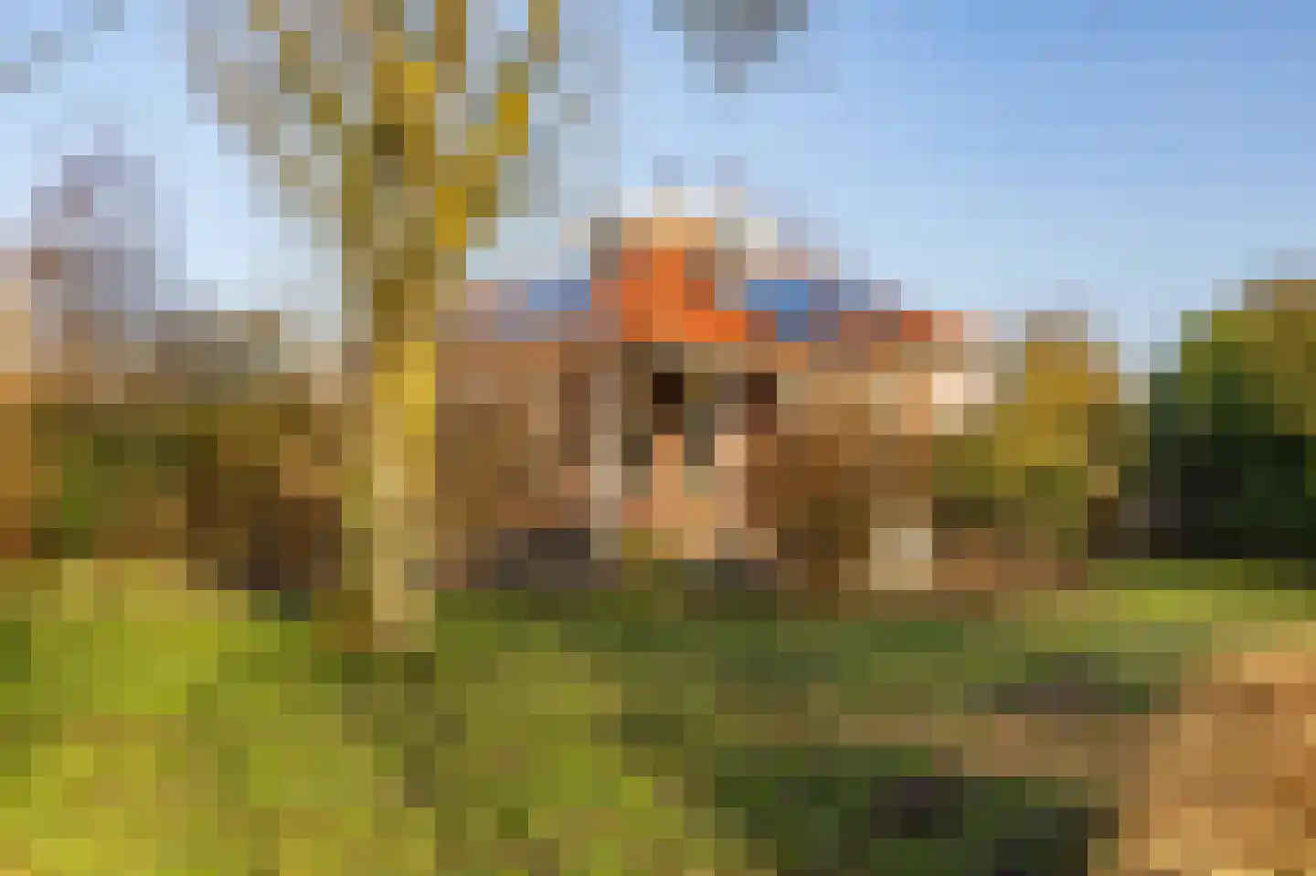 Mottoen 74 Uden thumbnail 55