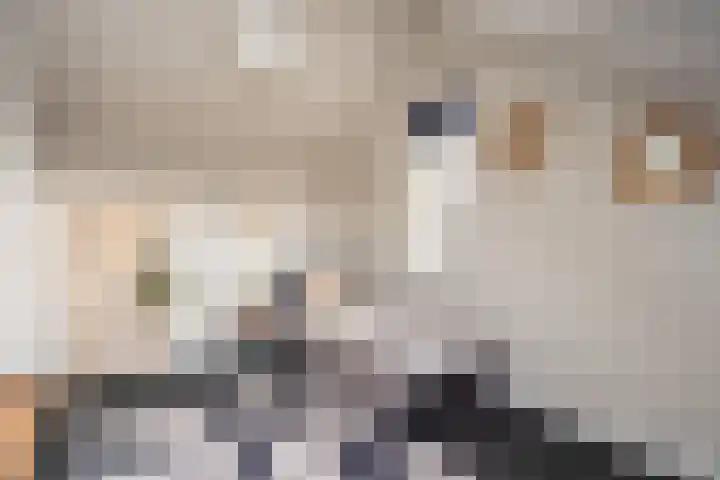 Mottoen 74 Uden thumbnail 55