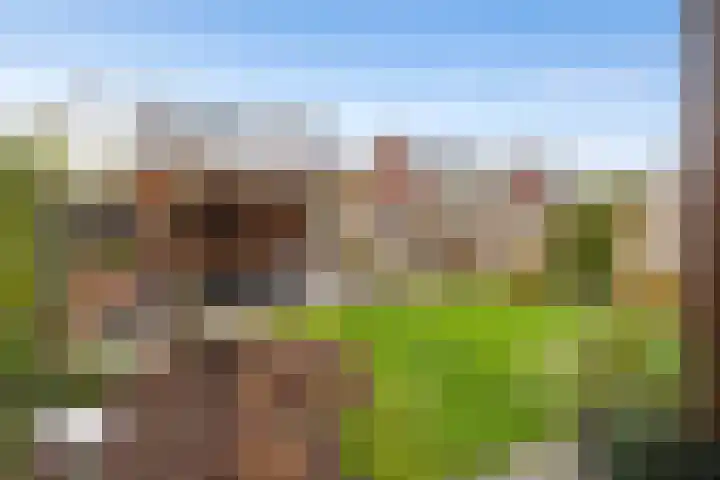 Mottoen 74 Uden thumbnail 63