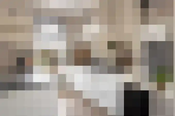 Mottoen 74 Uden thumbnail 7