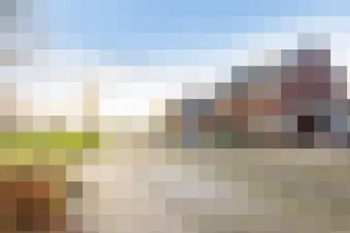 Mottoen 74 Uden thumbnail 71