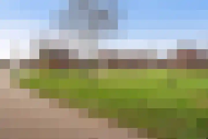 Mottoen 74 Uden thumbnail 72