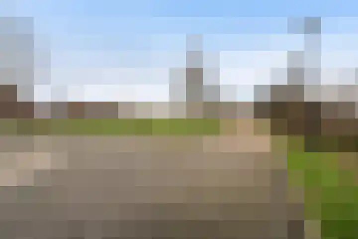 Mottoen 74 Uden thumbnail 77