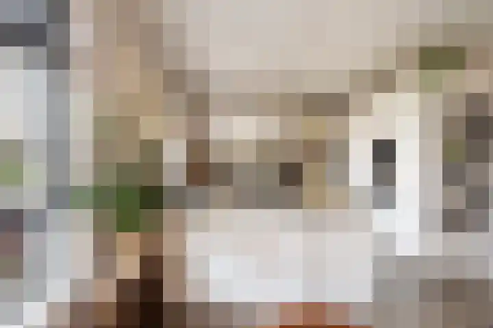 Mottoen 74 Uden thumbnail 8