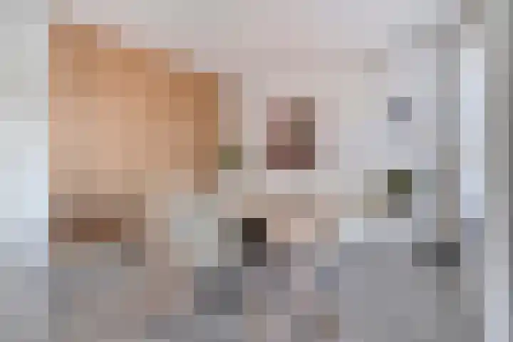 Mottoen 90 Uden thumbnail 22
