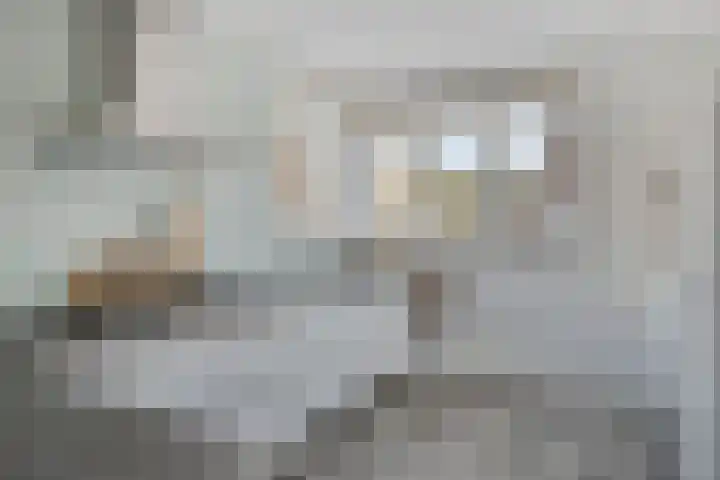 Mottoen 90 Uden thumbnail 26