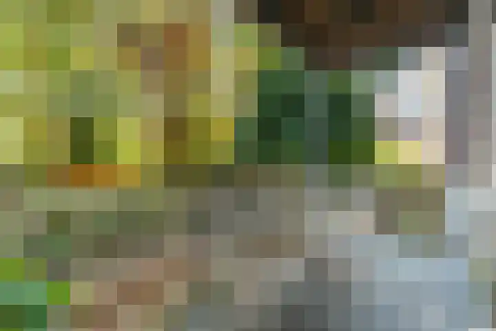 Mottoen 90 Uden thumbnail 27