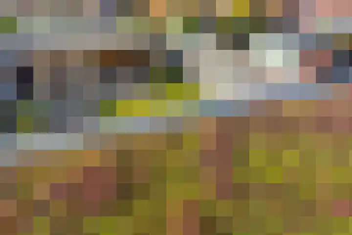 Mottoen 90 Uden thumbnail 38