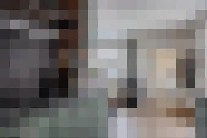 Mottoen 90 Uden thumbnail 43