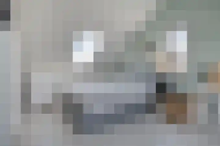 Mottoen 90 Uden thumbnail 49