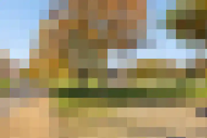 Mottoen 90 Uden thumbnail 60