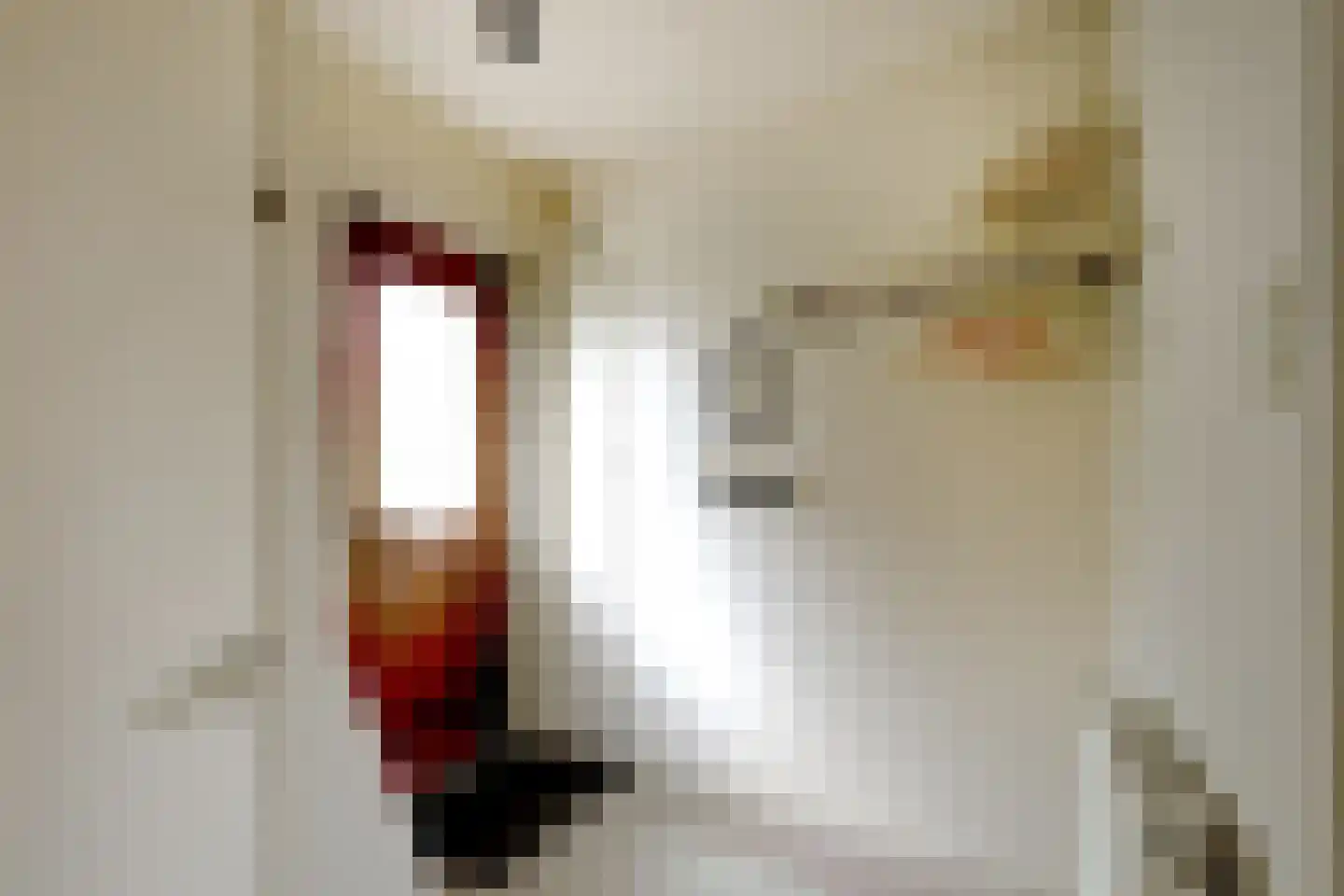 Moundyk 6 Stiens thumbnail 4