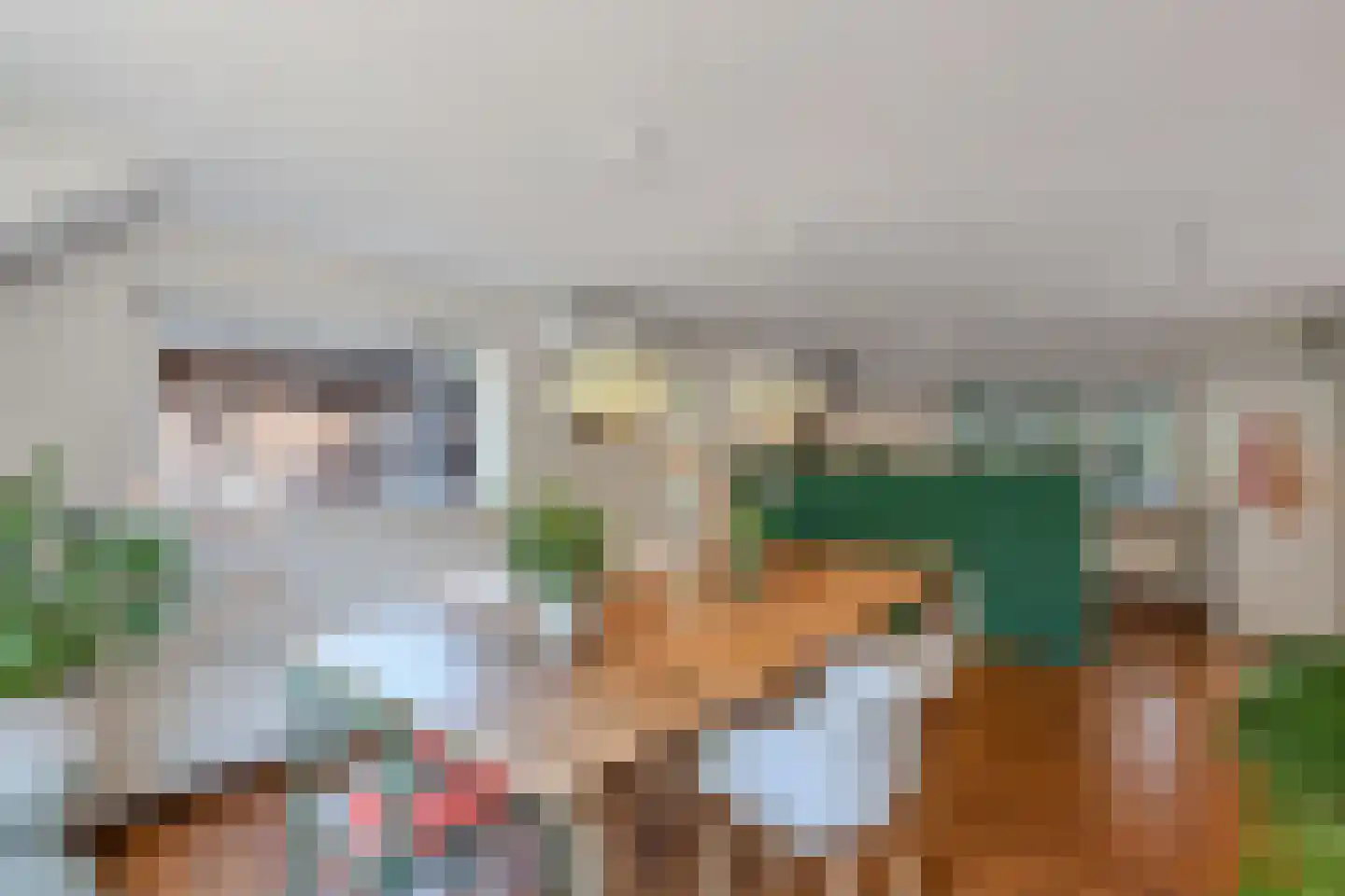 Mounein 1 Rottevalle thumbnail 15