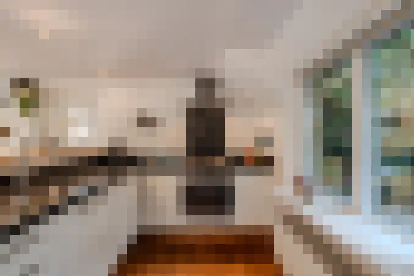 Mounein 1 Rottevalle thumbnail 17