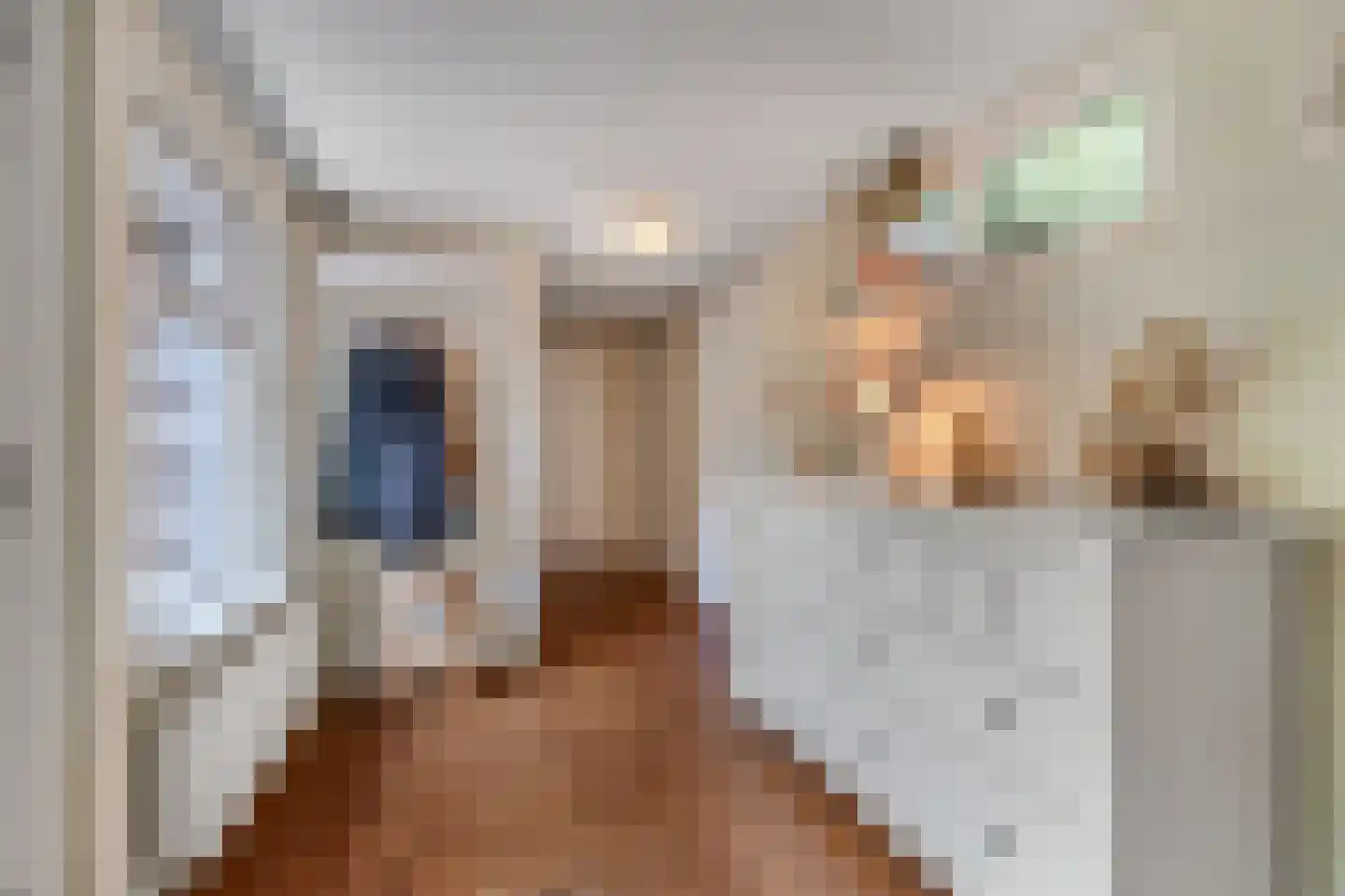 Mounein 1 Rottevalle thumbnail 19