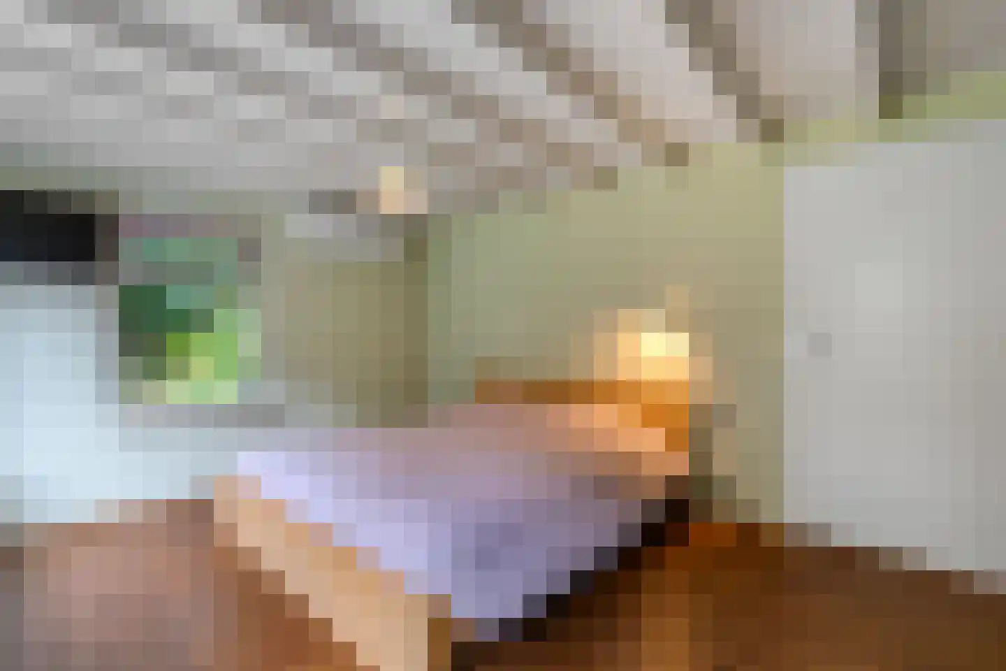 Mounein 1 Rottevalle thumbnail 21