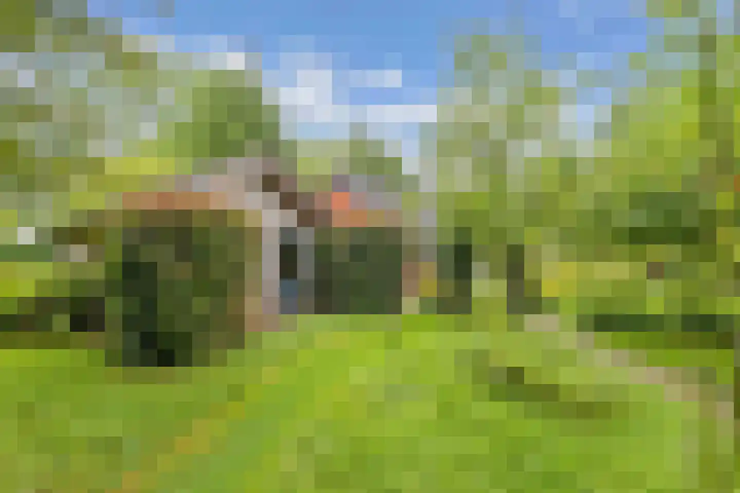 Mounein 1 Rottevalle thumbnail 31