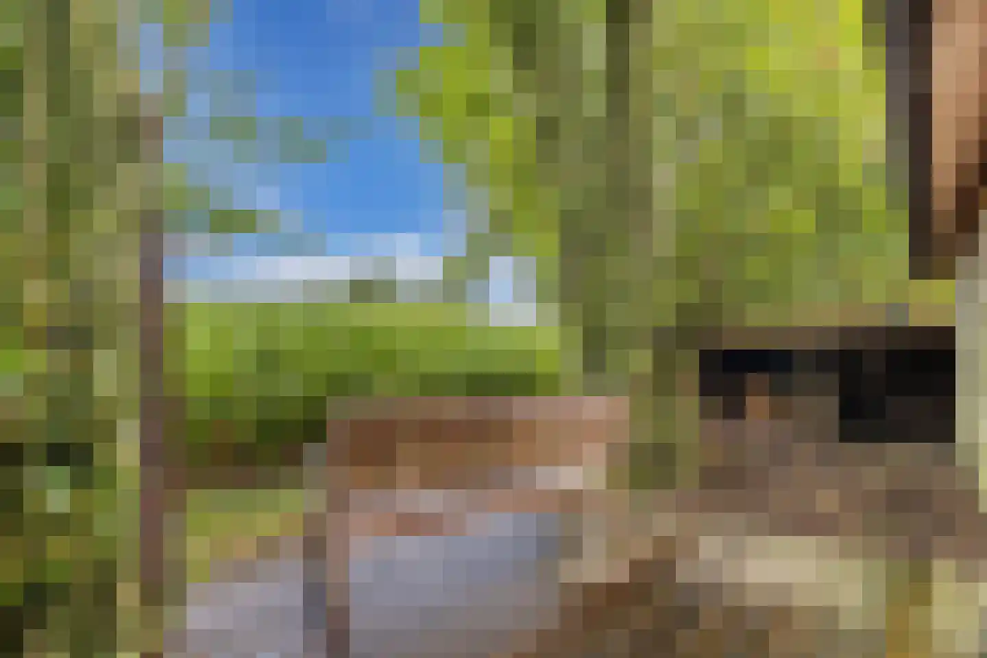 Mounein 1 Rottevalle thumbnail 37