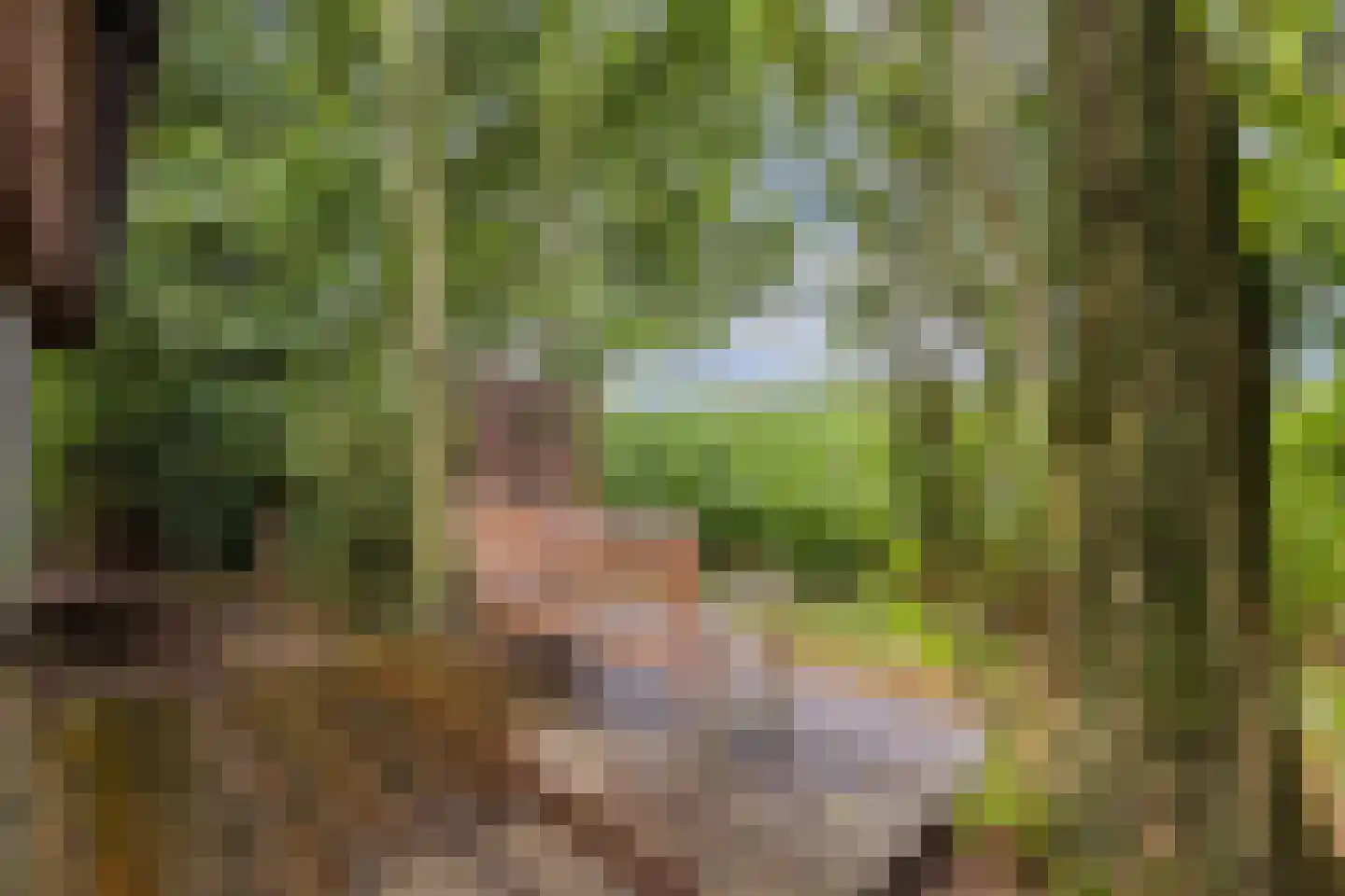 Mounein 1 Rottevalle thumbnail 38