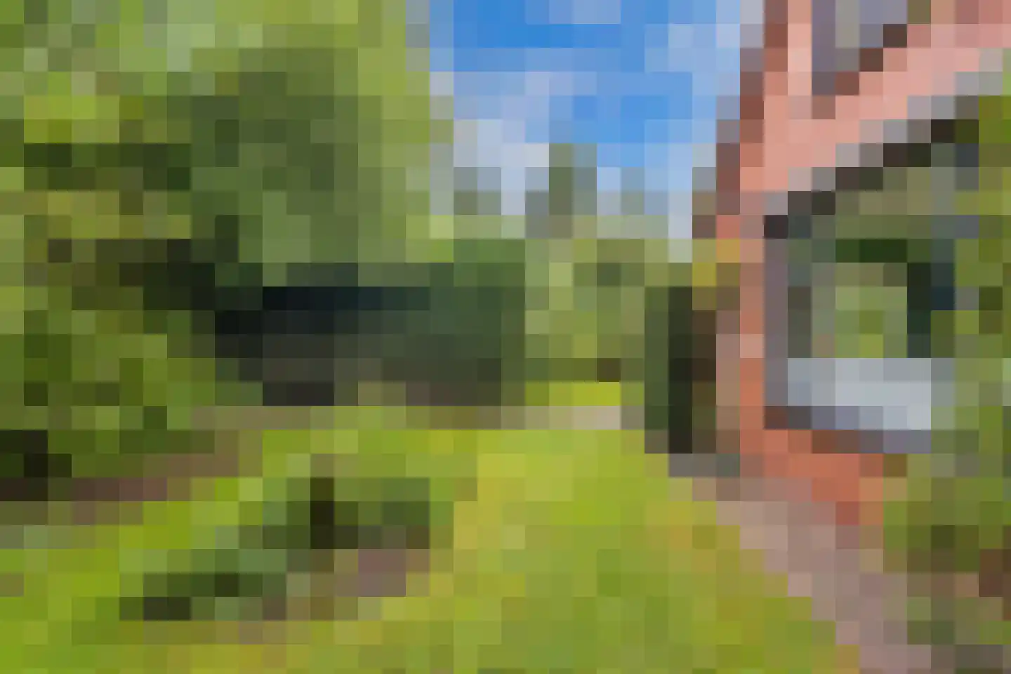 Mounein 1 Rottevalle thumbnail 41
