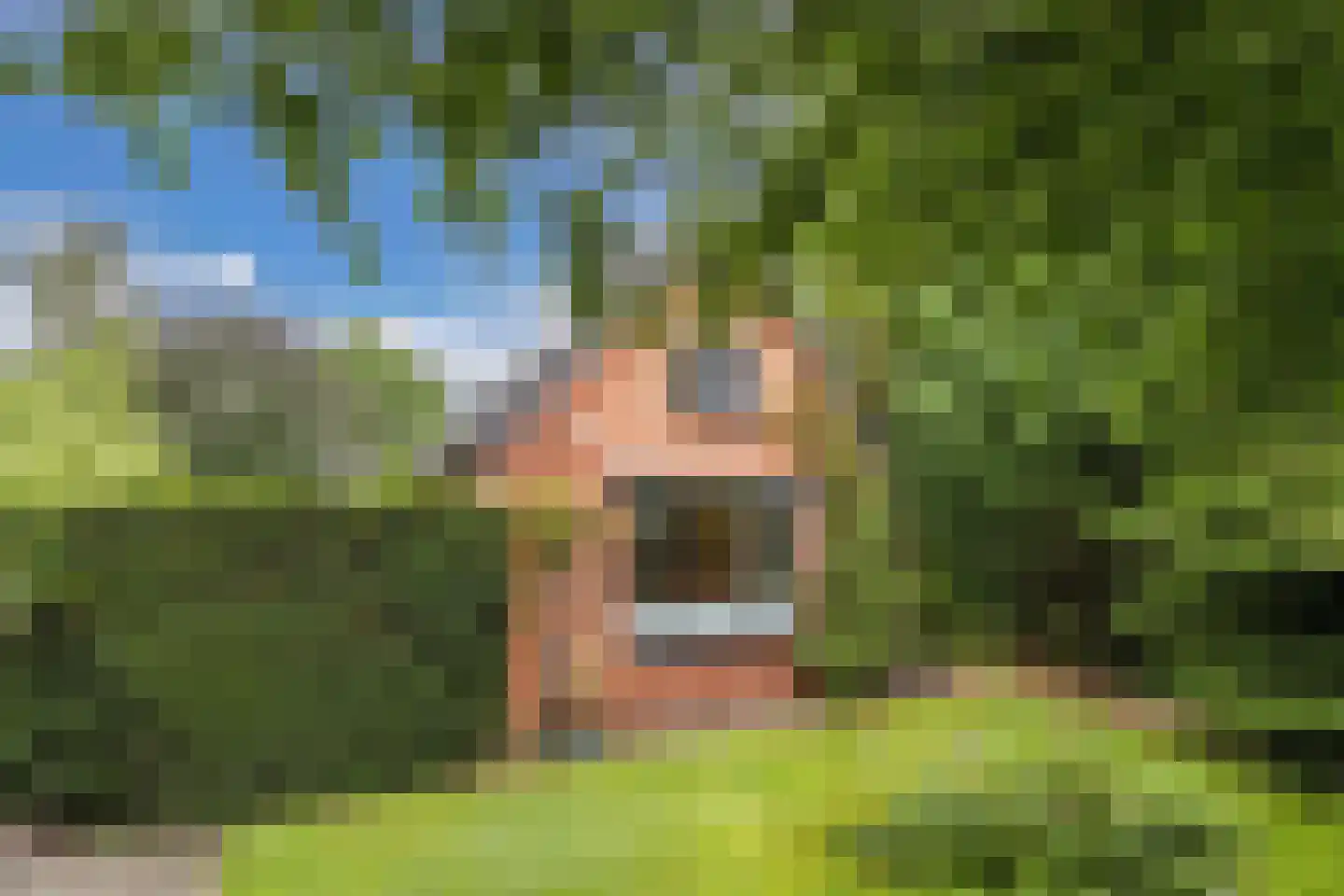Mounein 1 Rottevalle thumbnail 42