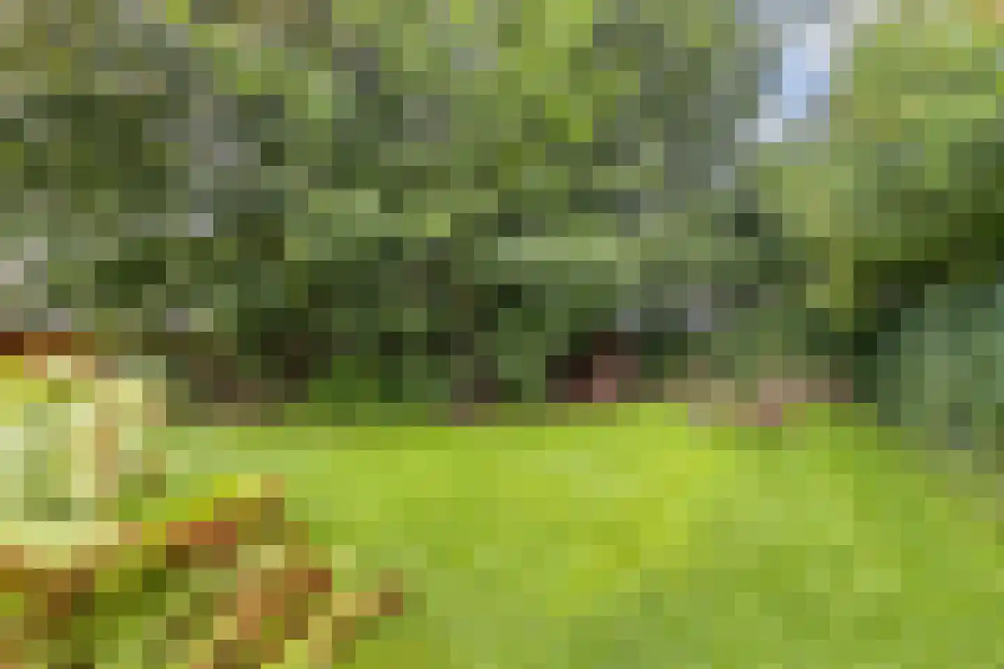 Mounein 1 Rottevalle thumbnail 43