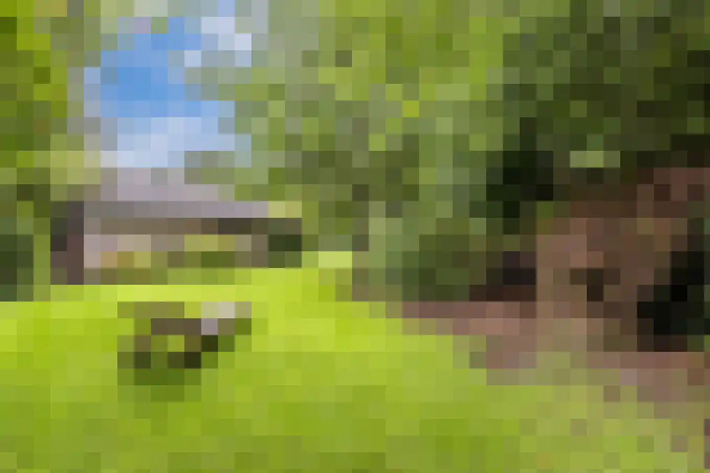 Mounein 1 Rottevalle thumbnail 44
