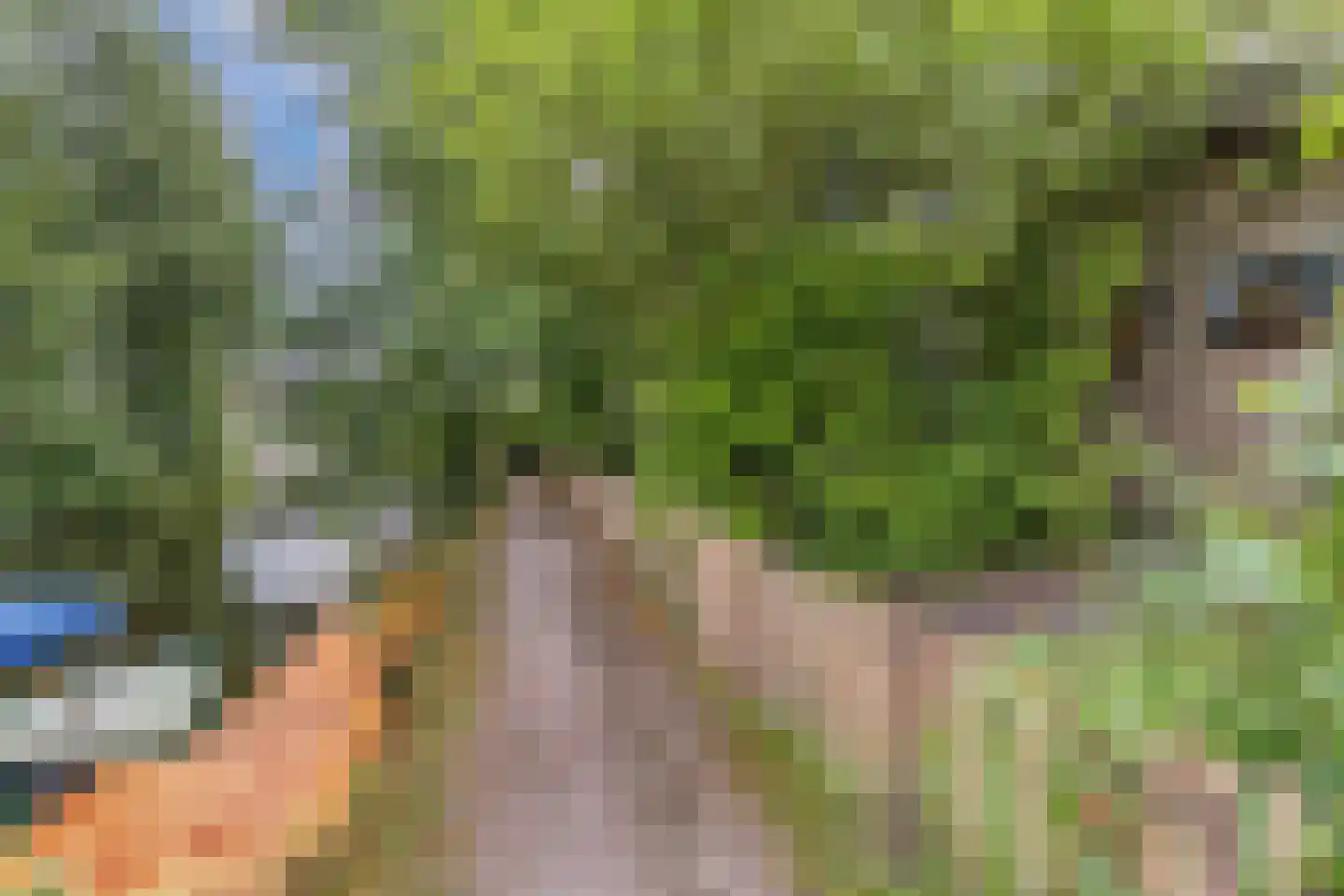 Mounein 1 Rottevalle thumbnail 46