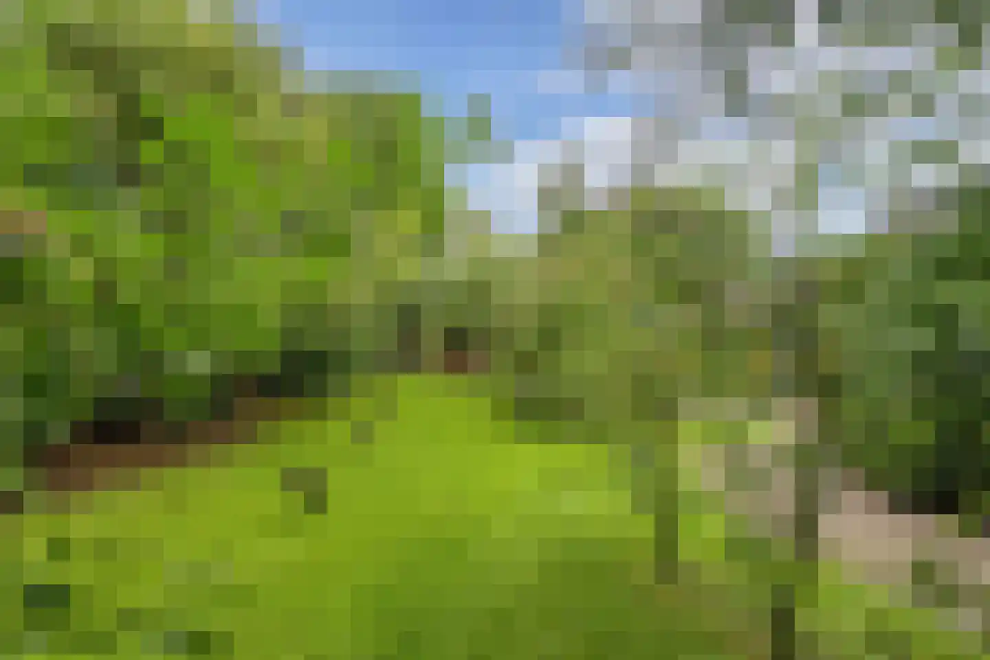 Mounein 1 Rottevalle thumbnail 47