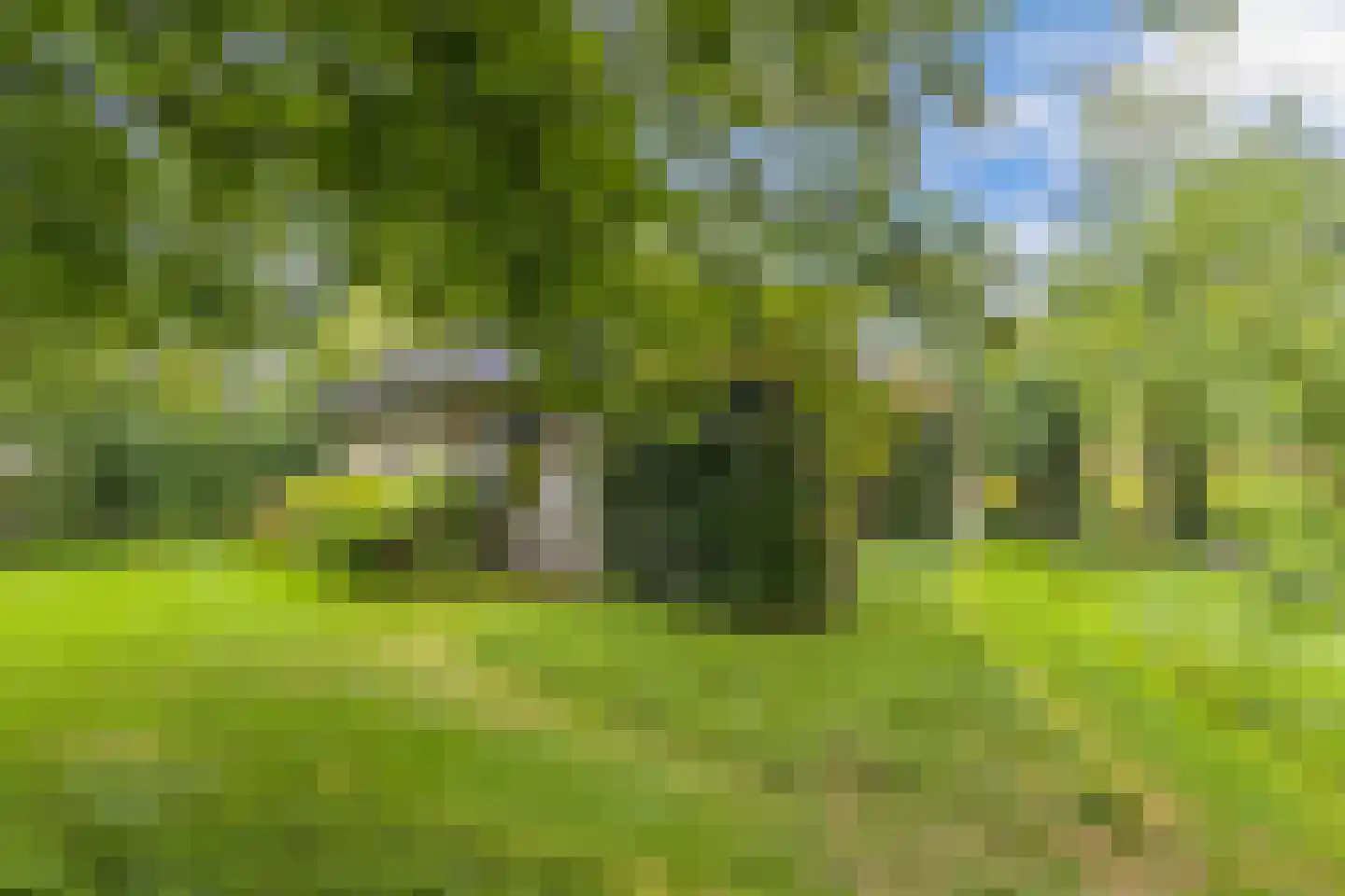 Mounein 1 Rottevalle thumbnail 48