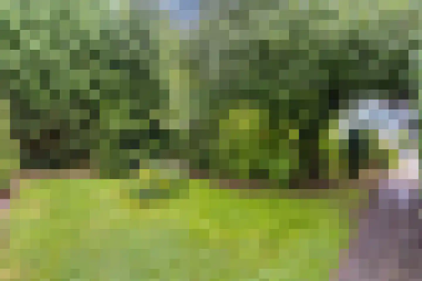 Mounein 1 Rottevalle thumbnail 5