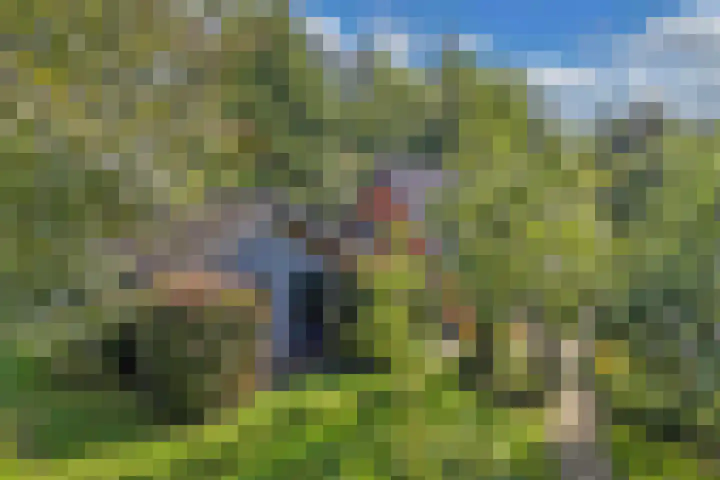 Mounein 1 Rottevalle thumbnail 50