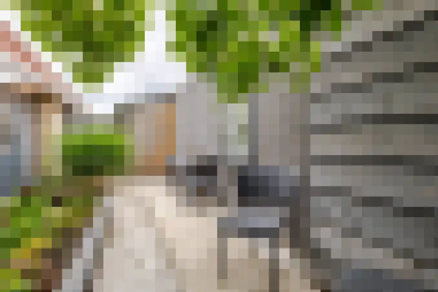 Mounesleat 10 Terwispel thumbnail 15