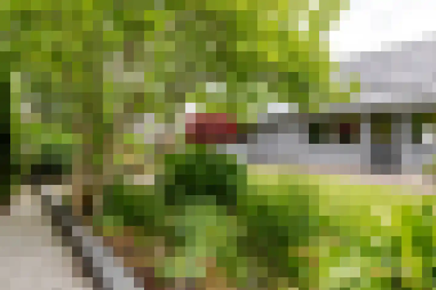 Mounesleat 10 Terwispel thumbnail 16
