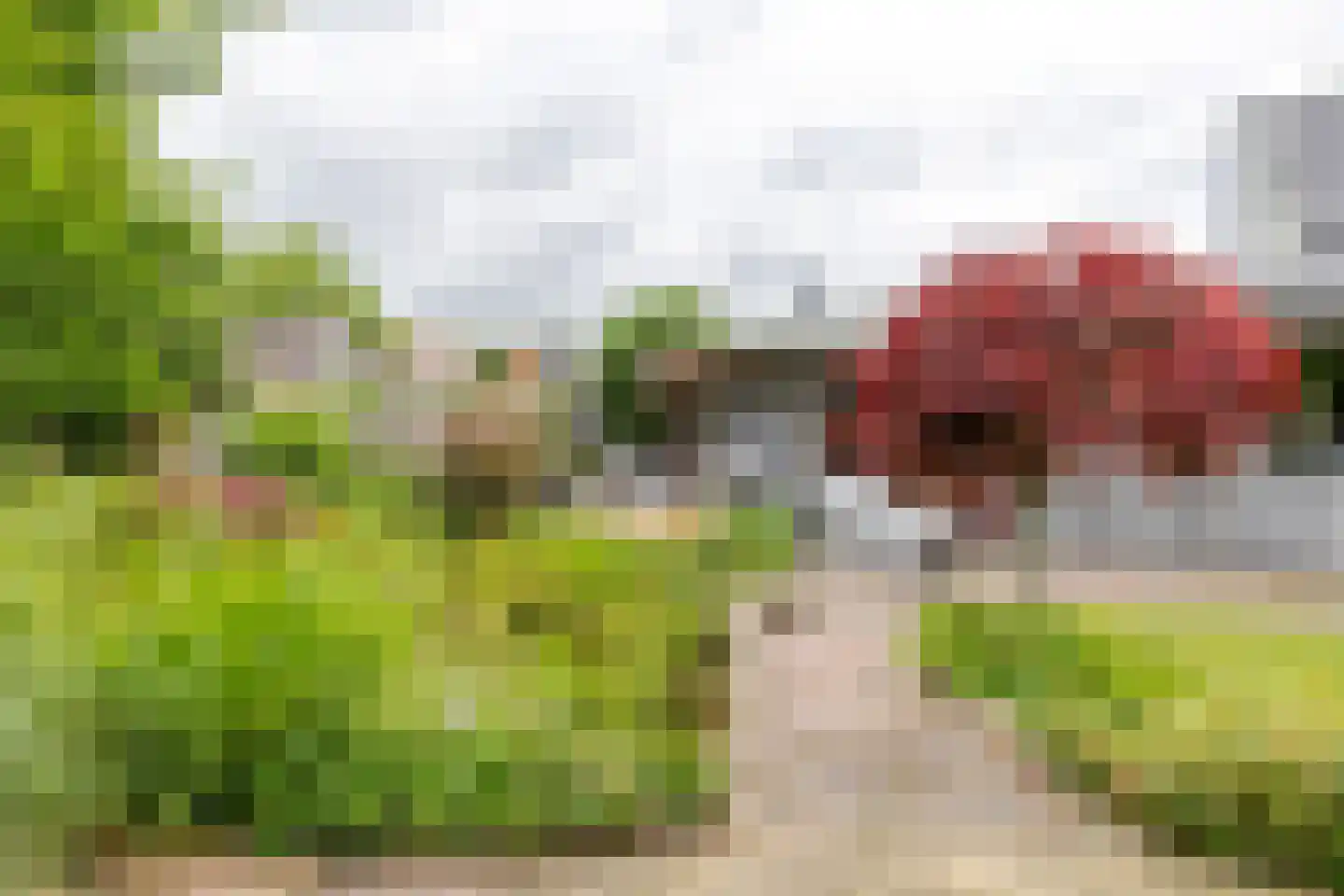 Mounesleat 10 Terwispel thumbnail 17