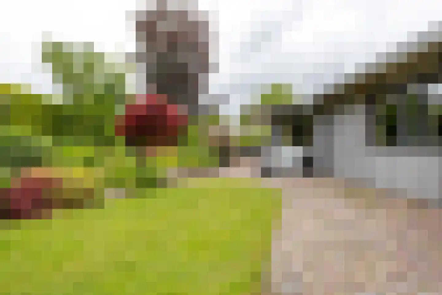 Mounesleat 10 Terwispel thumbnail 18