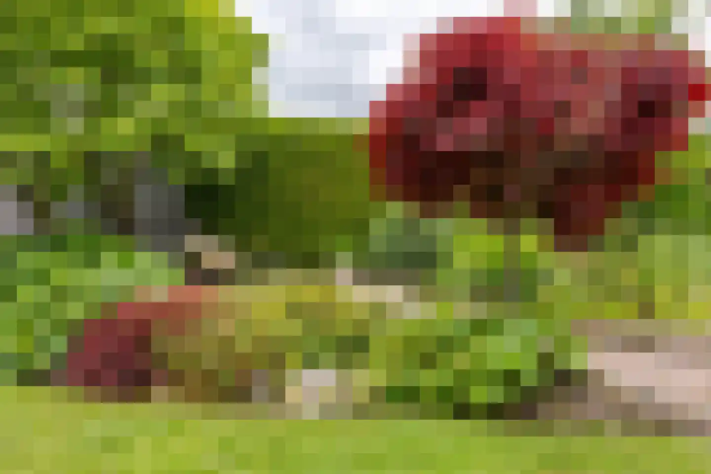 Mounesleat 10 Terwispel thumbnail 19