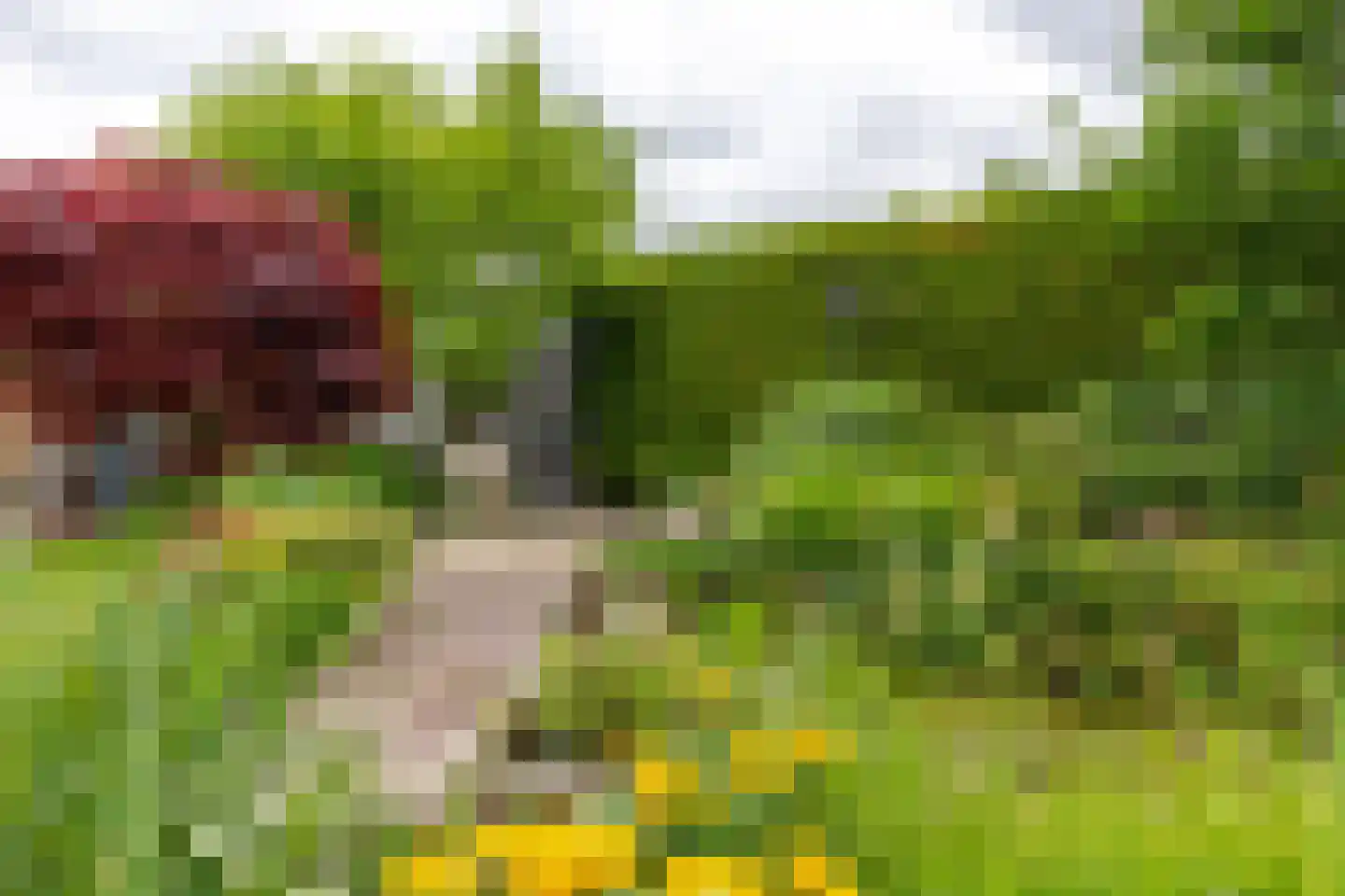 Mounesleat 10 Terwispel thumbnail 20