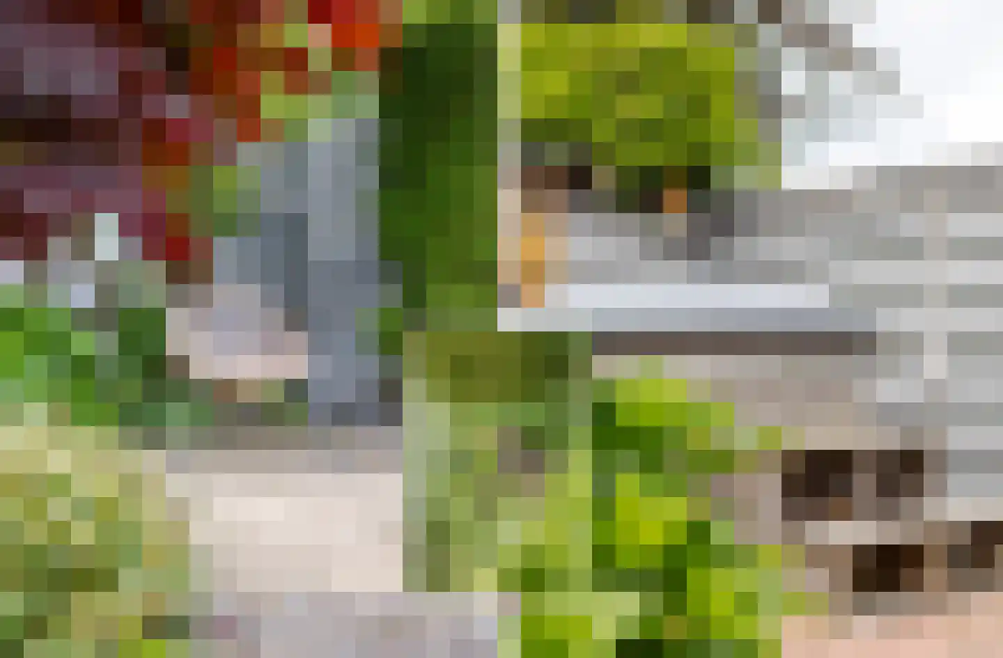 Mounesleat 10 Terwispel thumbnail 21