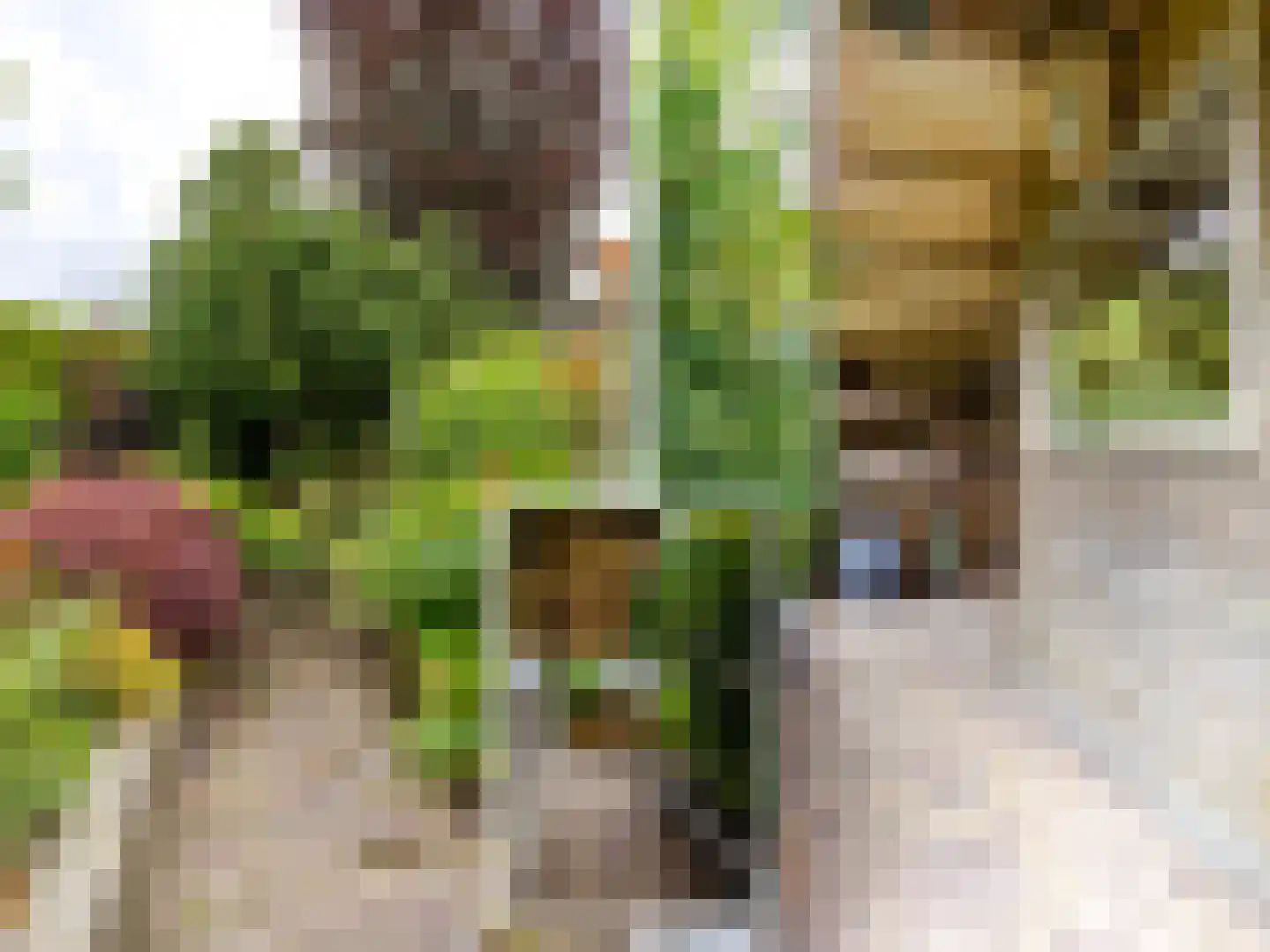 Mounesleat 10 Terwispel thumbnail 22