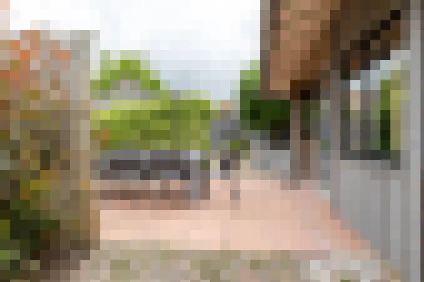 Mounesleat 10 Terwispel thumbnail 23