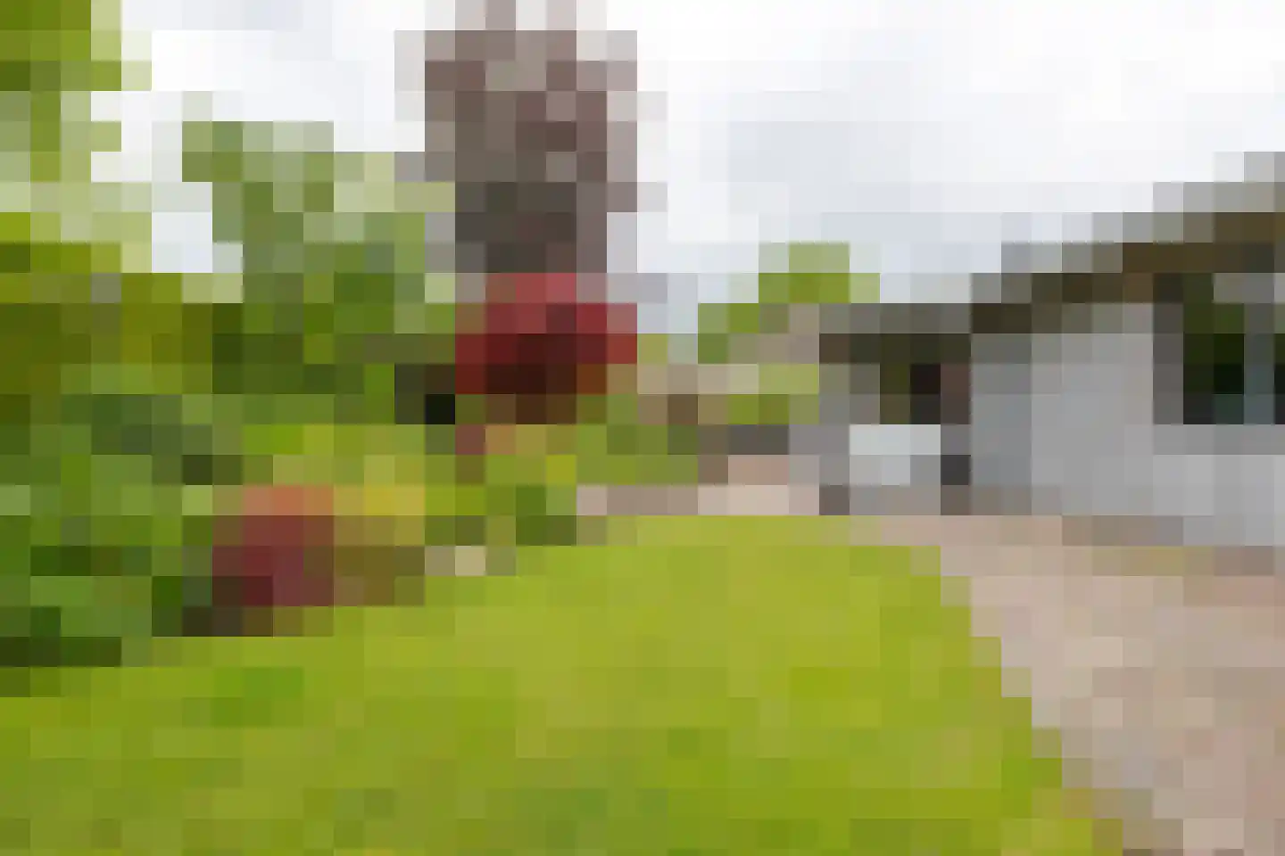 Mounesleat 10 Terwispel thumbnail 24