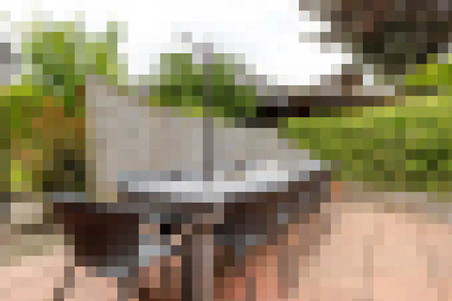 Mounesleat 10 Terwispel thumbnail 25