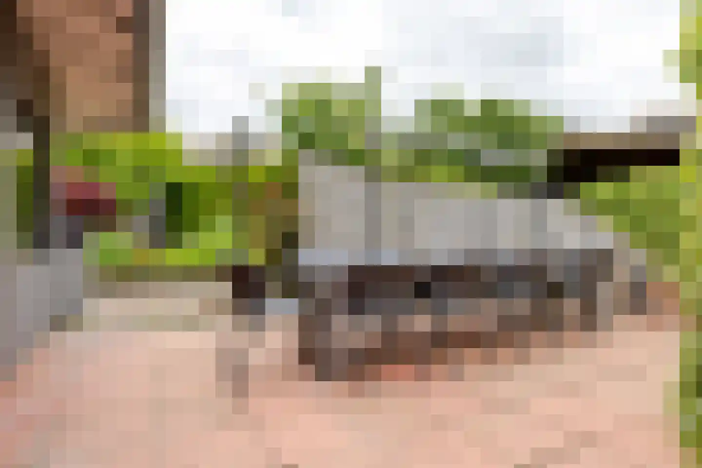 Mounesleat 10 Terwispel thumbnail 26