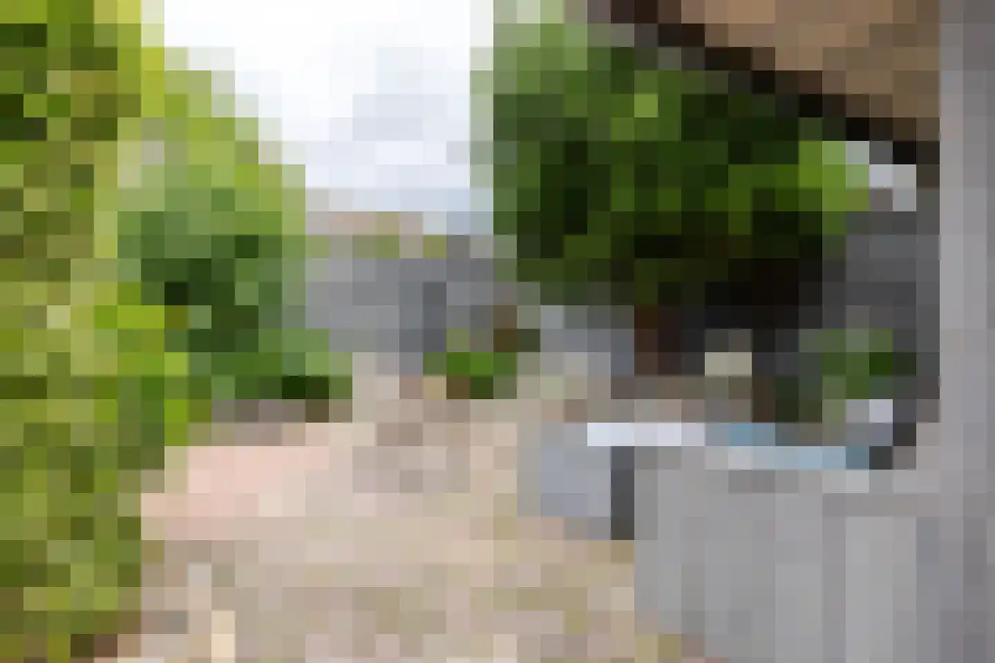 Mounesleat 10 Terwispel thumbnail 27