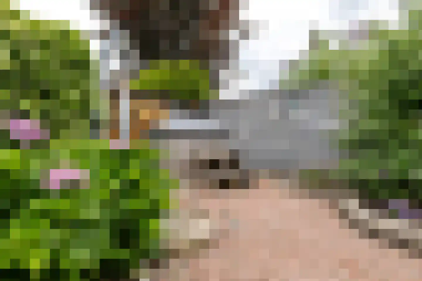 Mounesleat 10 Terwispel thumbnail 28